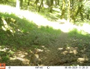 OLO05A 05052020 1