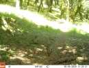OLO05A 05052020 2