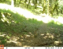 OLO05A 05052020 3