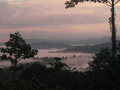 1 A Beautiful VIew in Borneo 1 A Beautiful VIew in Borneo
