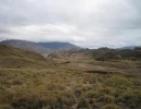 IMG 0046