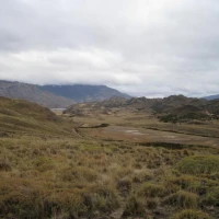 IMG 0046