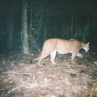 AABP 18 20051013 2212