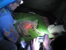 IMG 0902