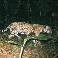RL 11 20051009 2329