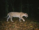 RL 2 20051028 2159