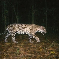RL 2 20051028 2159