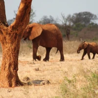 123232063 3432162186818770 2370918317684614315 n