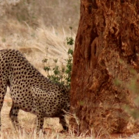 123245261 3432163310151991 8724090617004740038 n