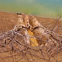 244239514 4379924522042527 7289761313780272412 n