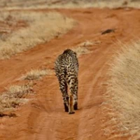 EAB81046 64FE 4E7E A511 8D48515D2EC4 1 201 a