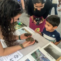 copy of 2015 10 24 alameda outreach basfeb 30