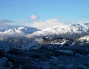 img 0174
