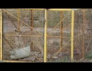 liberacion puma