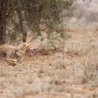 46a44ffd 3b76 4499 bd12 01da5d7bb642 1 c