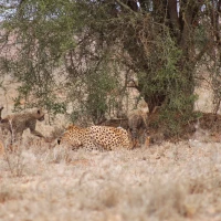 b1cf060b 1e6e 4891 a73c a883a0c31aa5 1 c