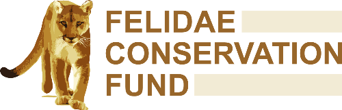 Felidae Conservation Fund
