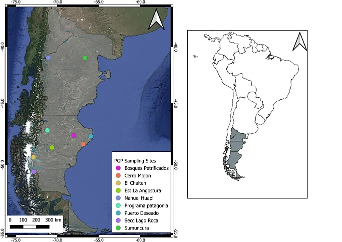 Patagonia Wild Cats Project