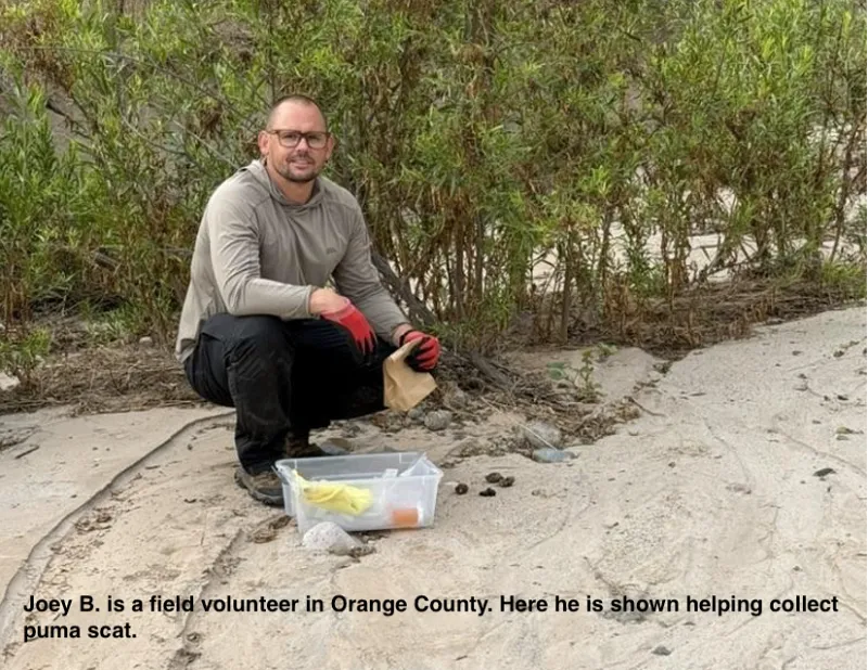 The Unexpected Social Ripple of Local Wildlife Science
