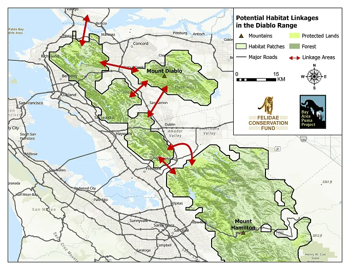 Isolation of Mount Diablo State Park in San Francisco’s East Bay and potential habitat linkages for pumas.