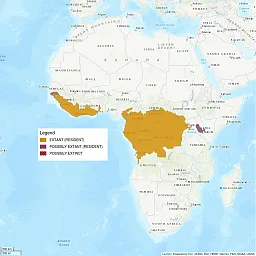 Image shows a map of Africa, with some regions shaded in showing in the distribution of the African Golden Cat. Shaded regions mostly cover Gabon, the Democratic Republic of the Congo, Congo, and parts of Cameroon and the Central African Republic. There is also a bit of the coast of Guinea, Cote D'Ivoire, and Ghana shaded in.