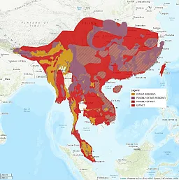 Distribution map shows China and Southeast Asia. Much of it is shaded in red, indicating the clouded leopard is extinct in these areas. There are some areas shaded gold (for extant, or resident) in Myanmar as well as just south of the Himalaya.