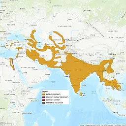 Distribution map, centered on India. All of India, Nepal, and Bangladesh are shaded as "extant" (or resident), along with parts of Myanmar, Thailand, Cambodia, and Vietnam. There are some tendrils of shading extending up through the Middle East towards Kazakhstan and Turkey.