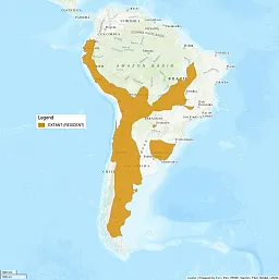 Distribution map shows South America. A large part of the Andes mountain range is shaded in, as well as a part of Uruguay and Brazil.