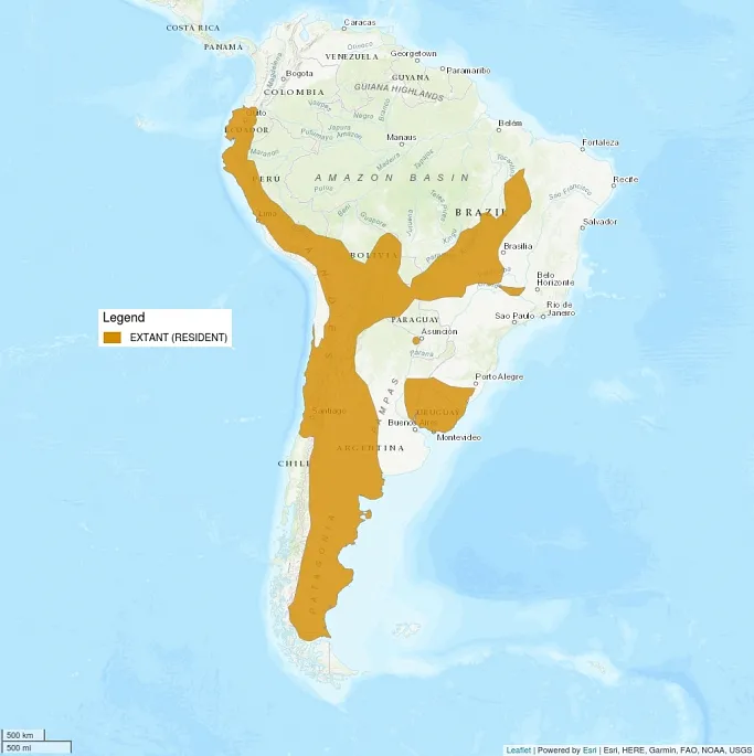 Distribution map shows South America. A large part of the Andes mountain range is shaded in, as well as a part of Uruguay and Brazil.