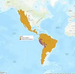 Where do store pumas live