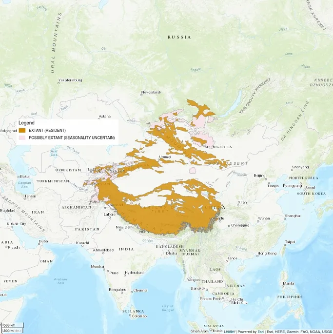 Distribution map centers on Asia, with fragmented regions shaded in over the Himalayan and Altai Mountains.