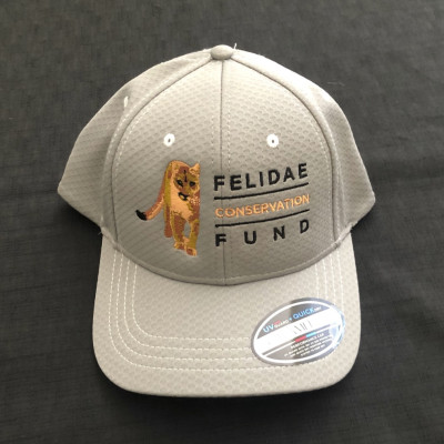 Embroidered Baseball Cap