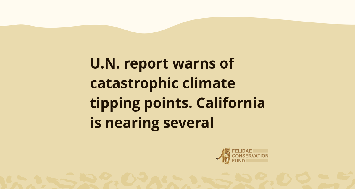 U.N. report warns of catastrophic climate tipping points. California is ...